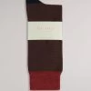 Ted Baker Orange Semi Plain Socks -Ted Baker Shop A95644s