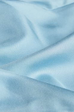 Ted Baker Blue Rubiez Double Layer Effect Cami Top -Ted Baker Shop N00679s5