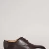 Ted Baker Kampten Brown Formal Leather Derby Shoes -Ted Baker Shop U53257s