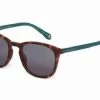Sunglasses TED BAKER RIGGS TB1536 122 2 Sunglasses TED BAKER RIGGS TB1536 122 -Ted Baker Shop ted baker tb1536 122 mr sunglass 4894327306855