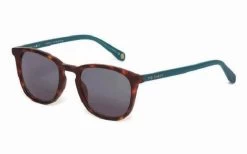 Sunglasses TED BAKER RIGGS TB1536 122