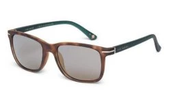 Sunglasses TED BAKER LARS TB1572 122
