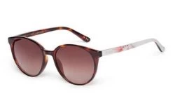 Sunglasses TED BAKER FLORES TB1604 121