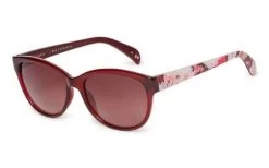 Sunglasses TED BAKER AMIE TB1605 204