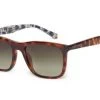 Sunglasses TED BAKER KING TB1619 122 1 Sunglasses TED BAKER KING TB1619 122 -Ted Baker Shop ted baker tb1619 122 mr sunglass 4894327376810