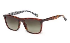 Sunglasses TED BAKER KING TB1619 122