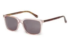 Sunglasses TED BAKER DEXTER TB1622 228