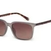Sunglasses TED BAKER DEXTER TB1622 970 2 Sunglasses TED BAKER DEXTER TB1622 970 -Ted Baker Shop ted baker tb1622 970 mr sunglass 4894327450848