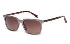 Sunglasses TED BAKER DEXTER TB1622 970