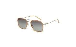 Sunglasses TED BAKER TB1626 436