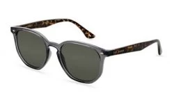 Sunglasses TED BAKER DOCK TB1655 974