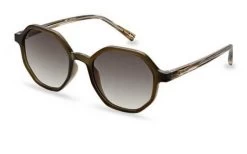 Sunglasses TED BAKER BONDI TB1664 576