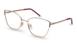 Glasses TED BAKER MARLIN TB2288 246